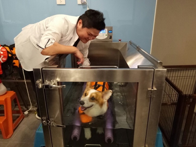 Quand la protection des animaux devient une mission humanitaire