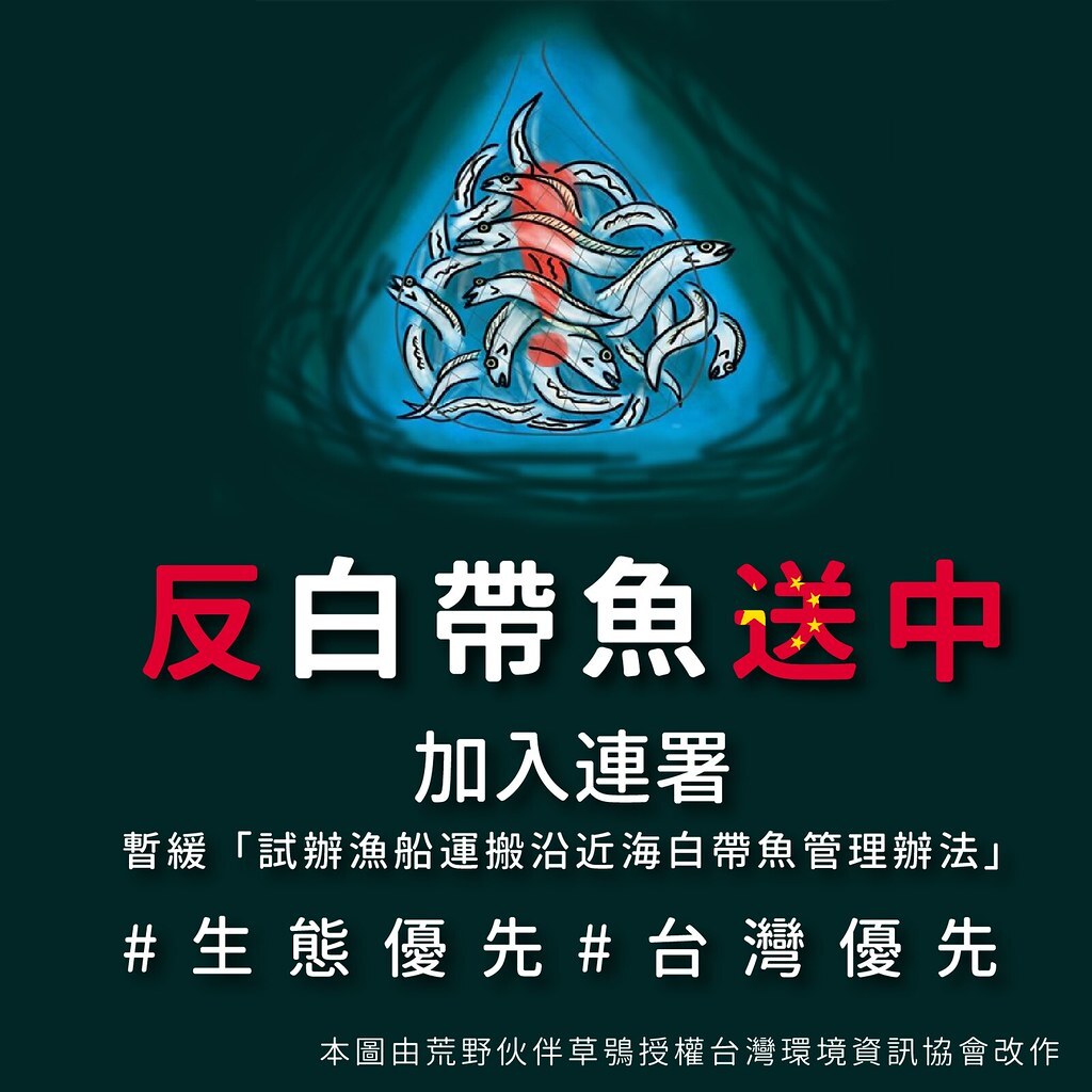 Certaines associations demandent une exportation raisonnée des poissons-sabres vers la Chine