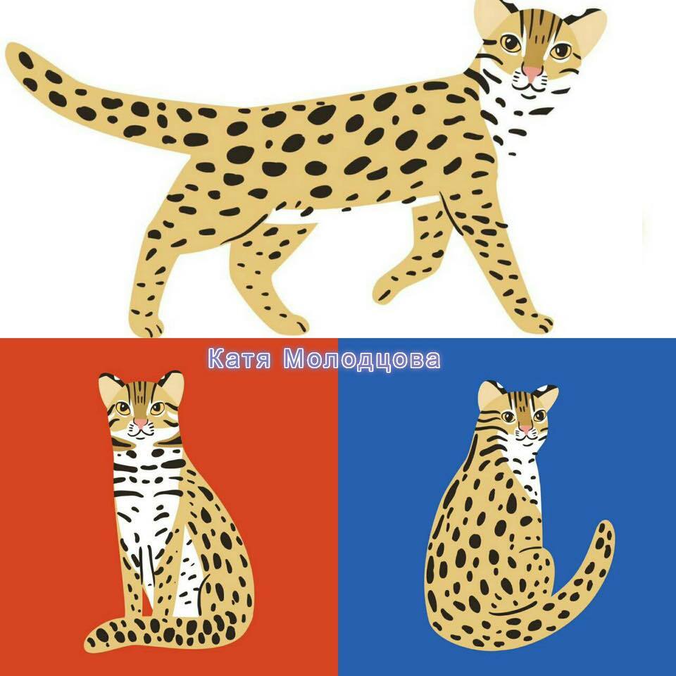 Les chats-léopards de Molodtsova sur le train de Jiji