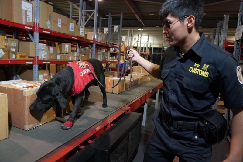Courrier des auditeurs : couteaux de la tribu Paiwan et familles d'accueil des chiens renifleurs
