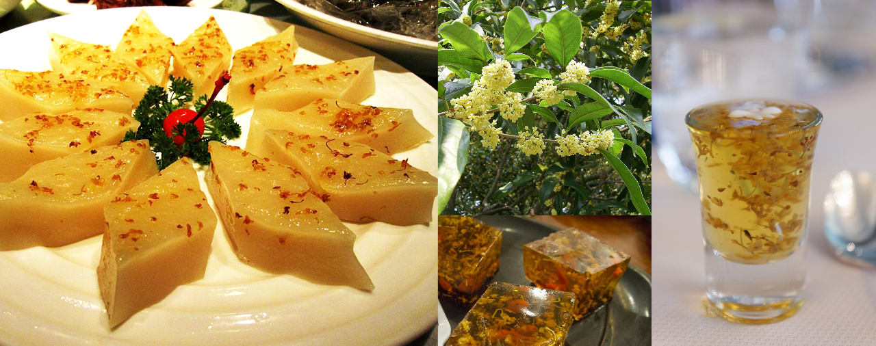 On en parle à Taiwan : sources chaudes, rôle, théâtre national, fleurs d'osmanthus