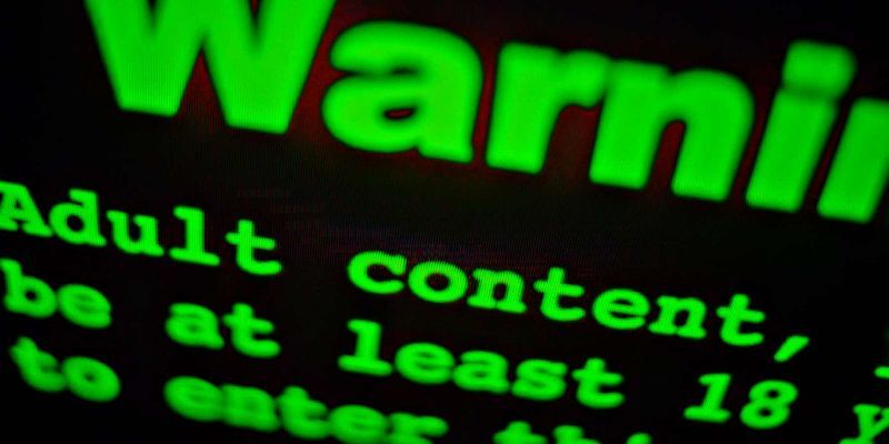 Organisation d’un colloque international autour du Revenge Porn