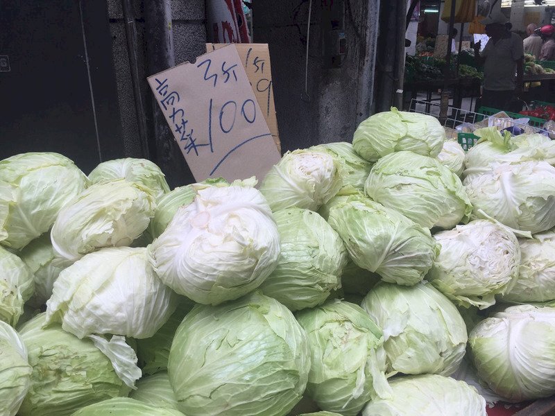 Vers une surproduction de choux à Taiwan