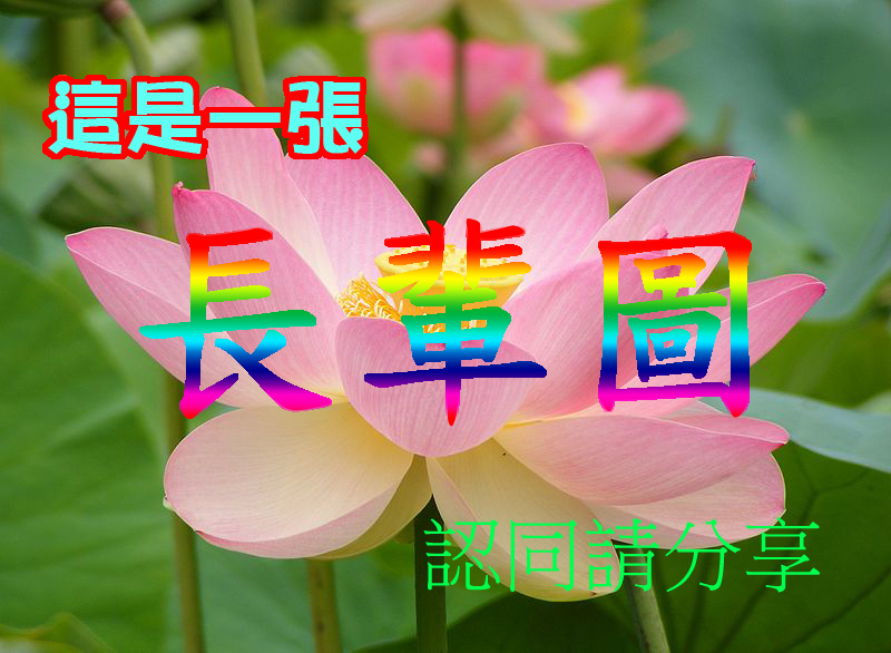 Messagerie instantanée : les Taiwanais adorent envoyer des images