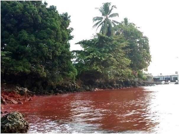 La baie de Bamasuk contaminée (Image : page Facebook du Triumph Heritage Empowerment Party)