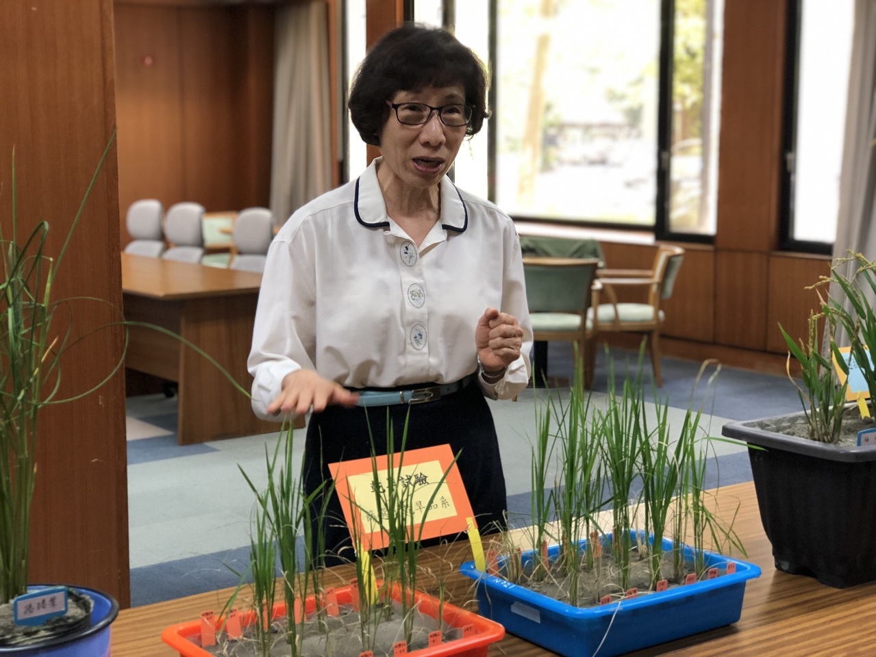 Les chercheurs de l’Academia Sinica rendent le riz plus résistant