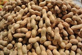 Les « troubles des cacahuètes » qui démontrent la fragilité du marché agricole