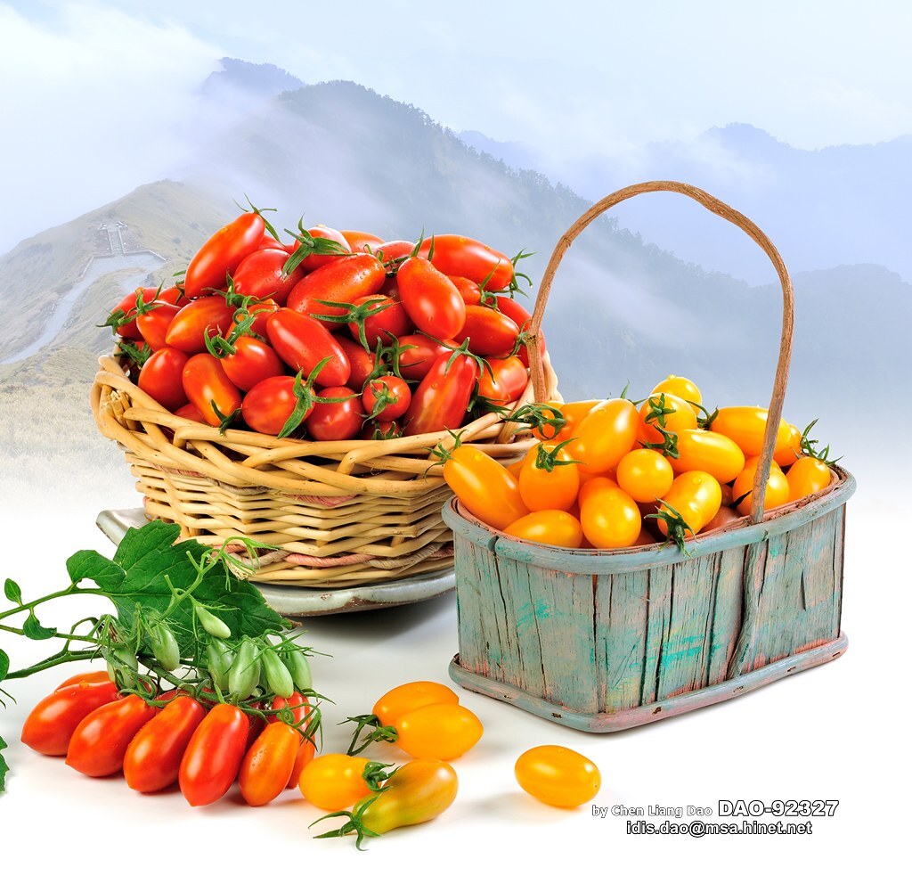 Coopérations taiwano-thaïlandaises dans l'agriculture