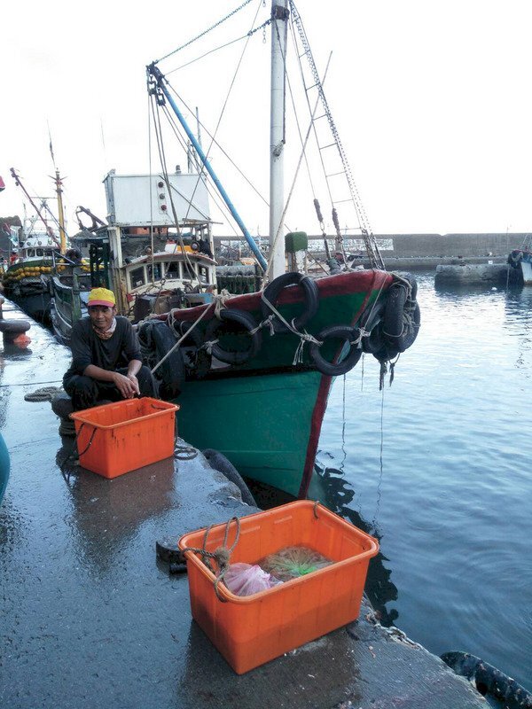 Le gouvernement taiwanais avertit ses pêcheurs de la nouvelle protection concernant le petit requin taupe