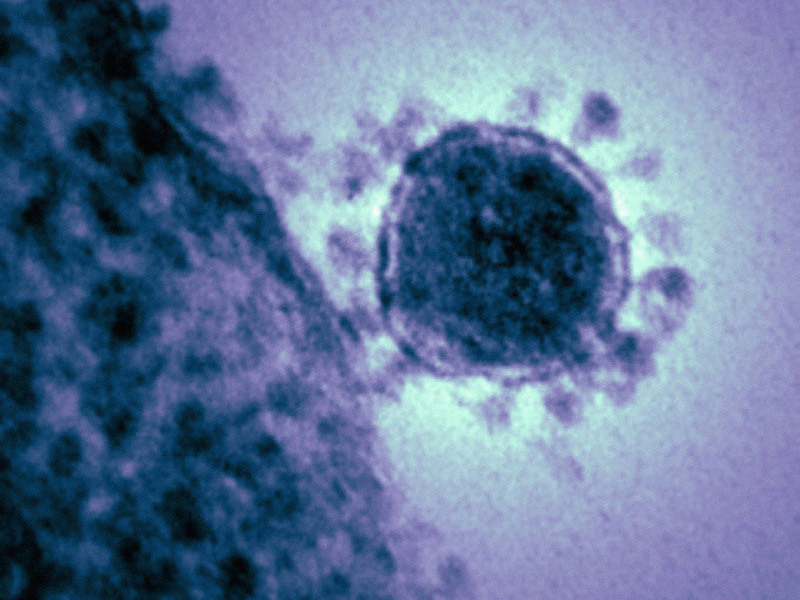 Nouveau coronavirus : un 18ème cas à Taiwan