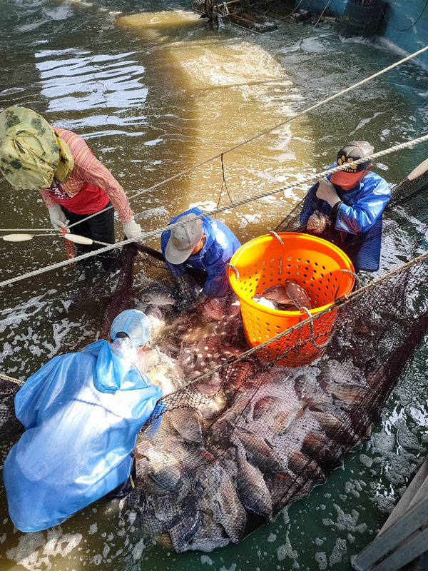Le secteur de la pêche face aux droits de douane américains