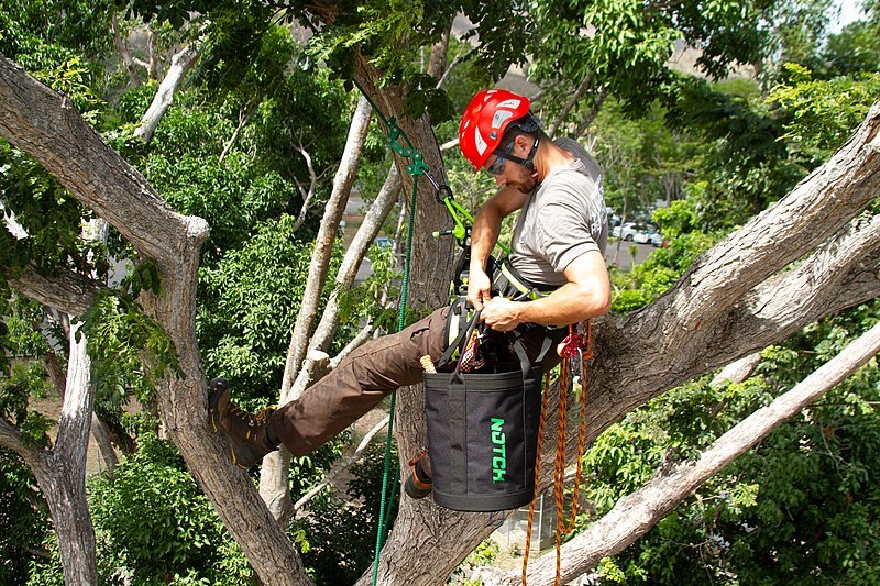 La première grimpeuse d’arbres taiwanaise certifiée cherche à faire connaître ce sport auprès des Taiwanaises