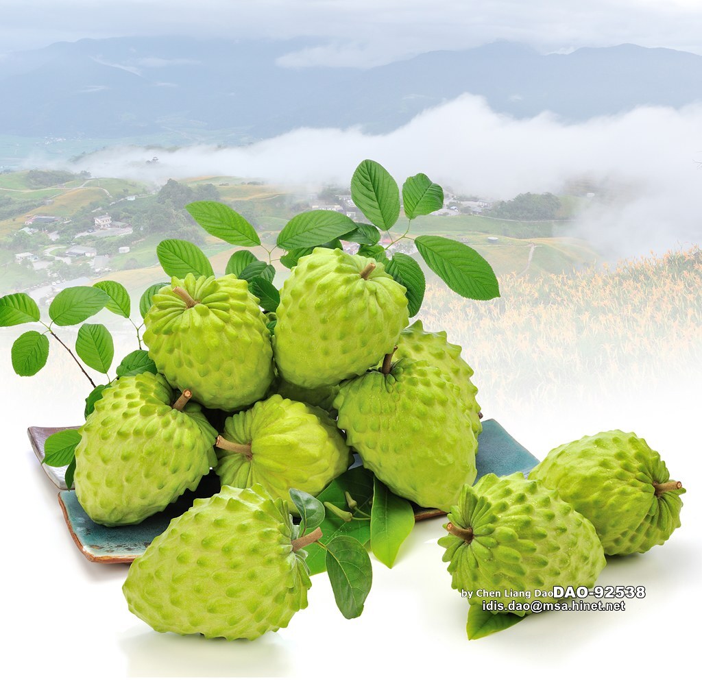 Répercussions du nouveau coronavirus sur le secteur agricole taiwanais
