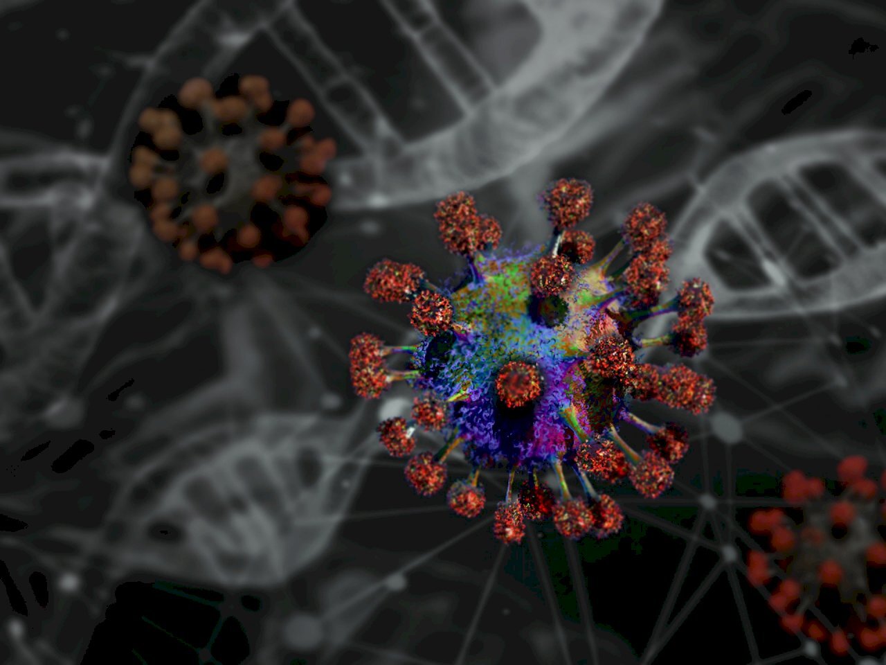 Taiwan compte 45 cas du nouveau coronavirus