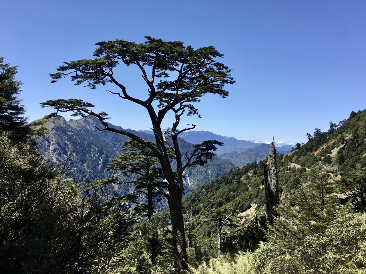 Sur le sentier historique de Nenggao, dans le centre de Taiwan (Image : RTI - Lisa Duffaud)