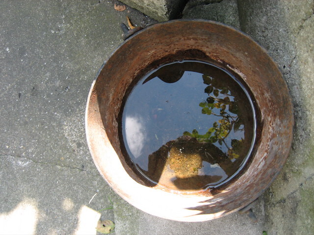 Découvrez la légende de la bassine noire mystérieuse