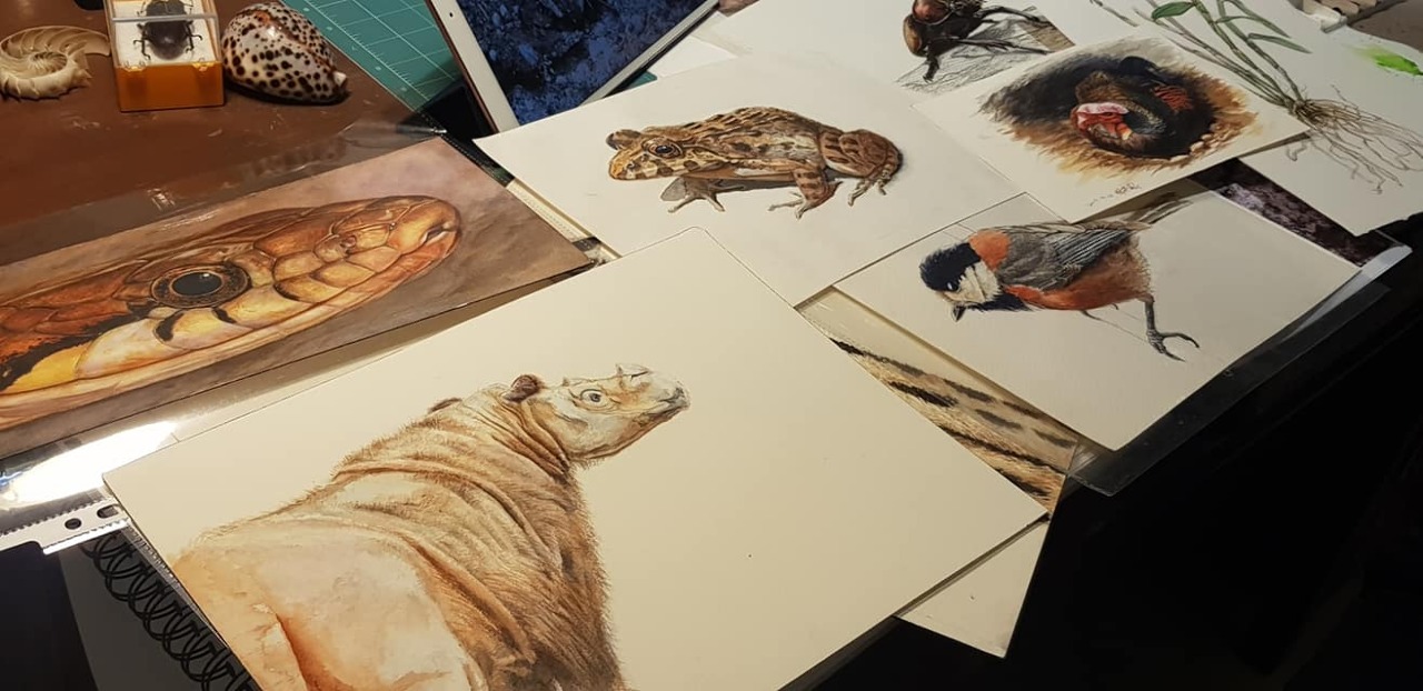 Nouvelle génération d'illustrateurs scientifiques à Taiwan