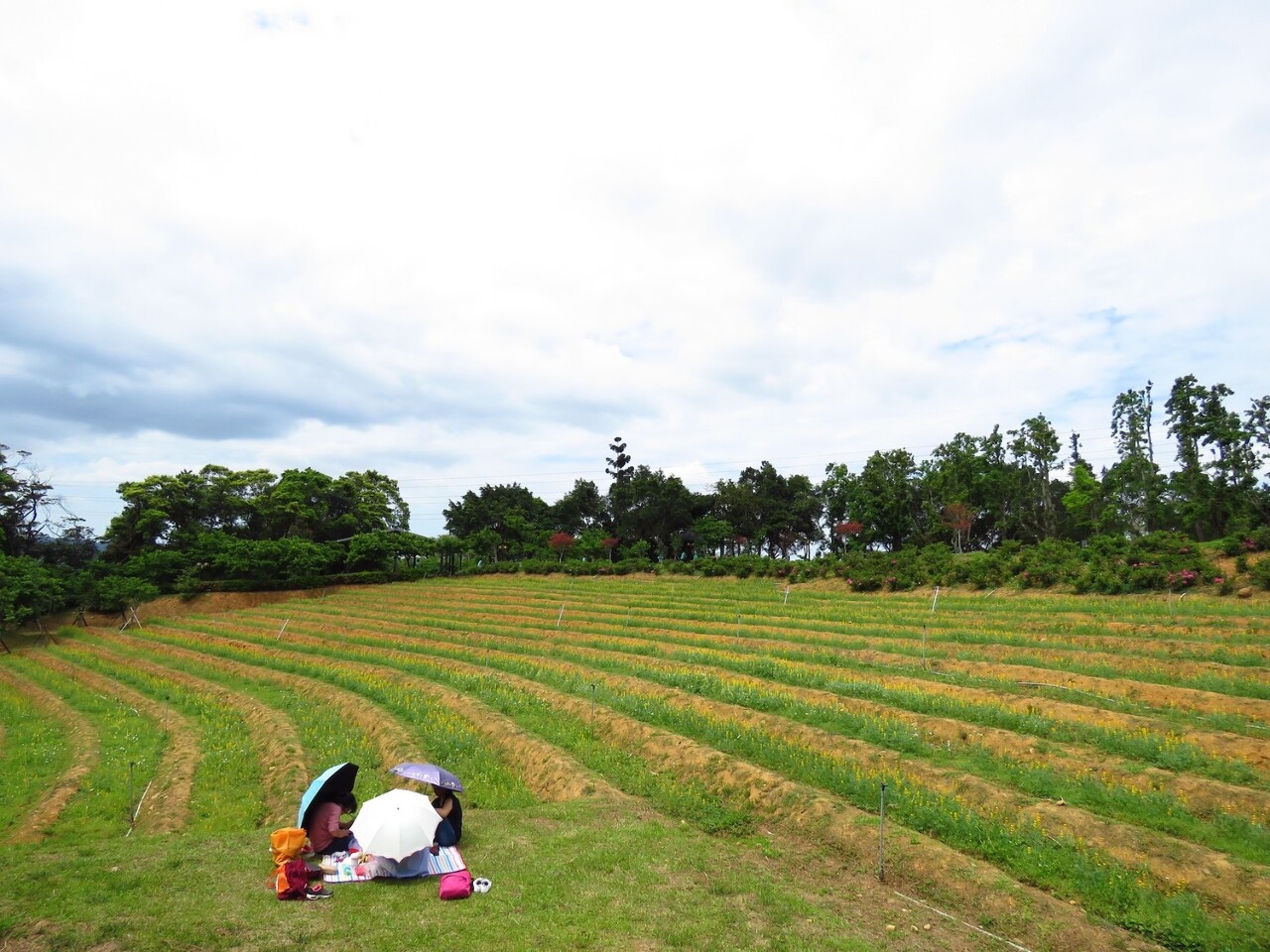 Le gouvernement annonce la distribution de coupons visant les secteurs de l'agriculture et de la culture