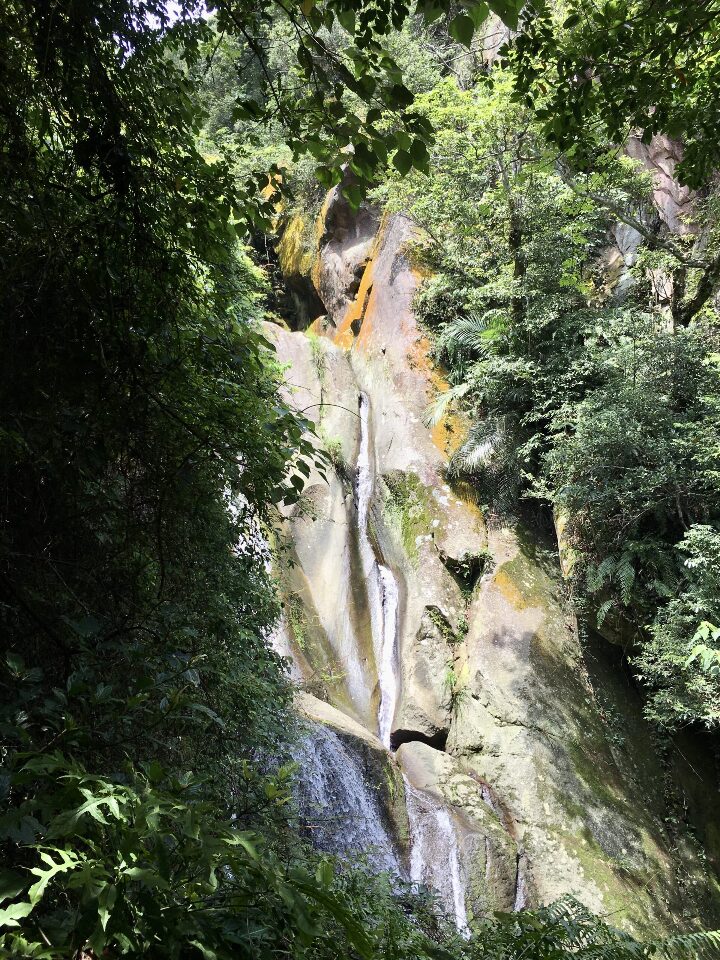 Balade entre Xihu et Dahu, en passant par le mont Jinmian (Neihu) (Images : RTI - Lisa Duffaud)