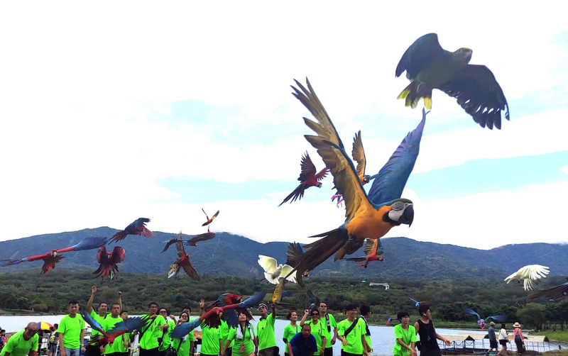 Les oiseaux de compagnie autorisés dans le métro et le bus de Taipei