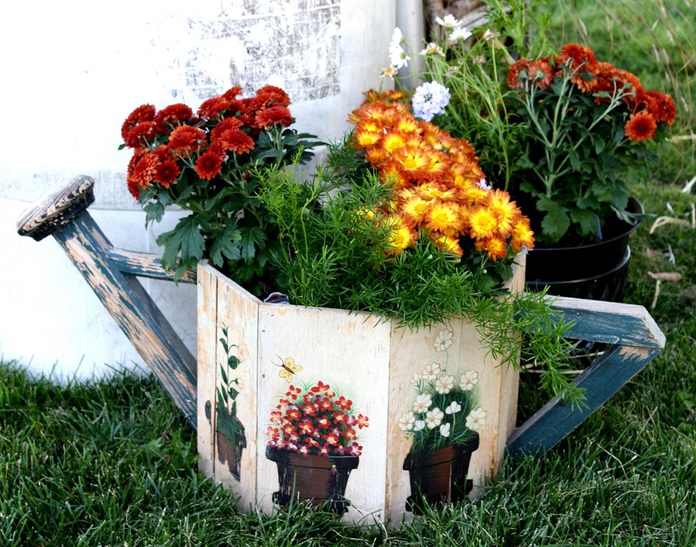 L'homme qui aimait les chrysanthèmes