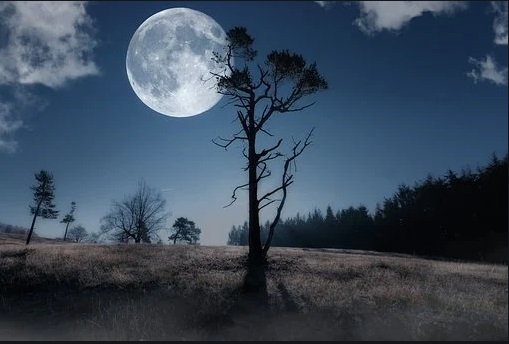 Le lièvre sur la lune