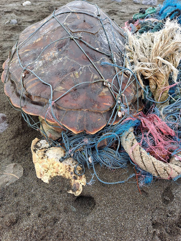 Plus de 4000 tonnes de déchets nettoyés sur les plages taiwanaises en 9 mois