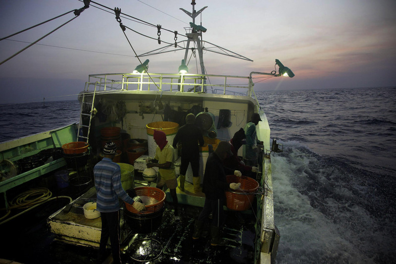 Le poisson taïwanais visé par la liste américaine des produits issus du travail forcé