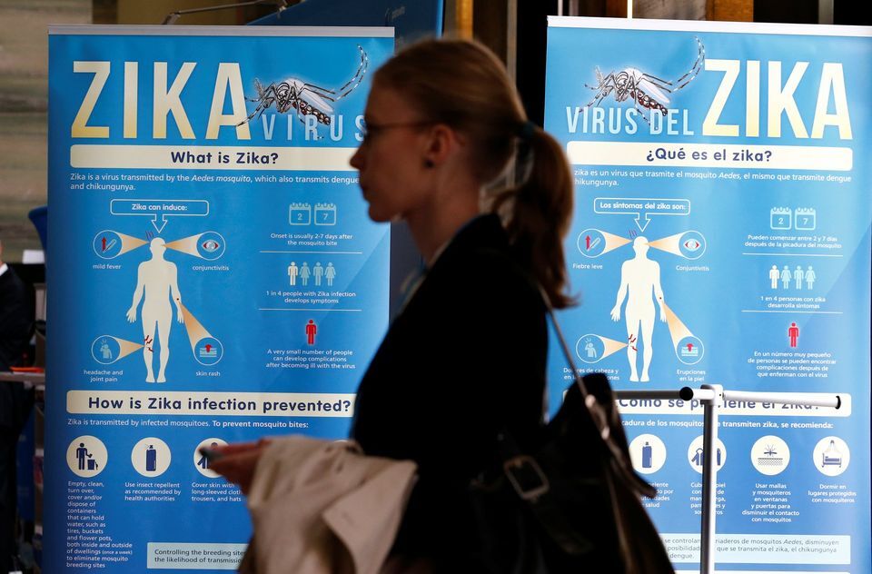 La dengue et l'encéphalite japonaise pourraient aider à protéger contre le Zika, selon des chercheurs