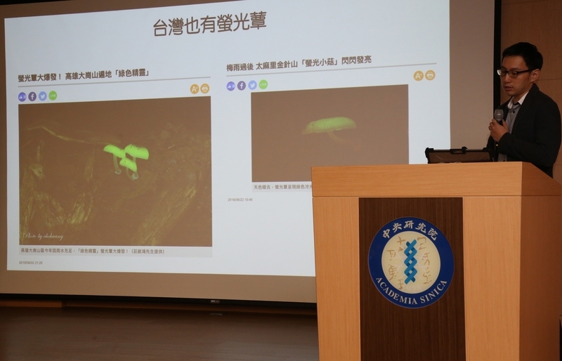 Des chercheurs taiwanais découvrent l’ADN de luminescence des champignons depuis la période jurassique
