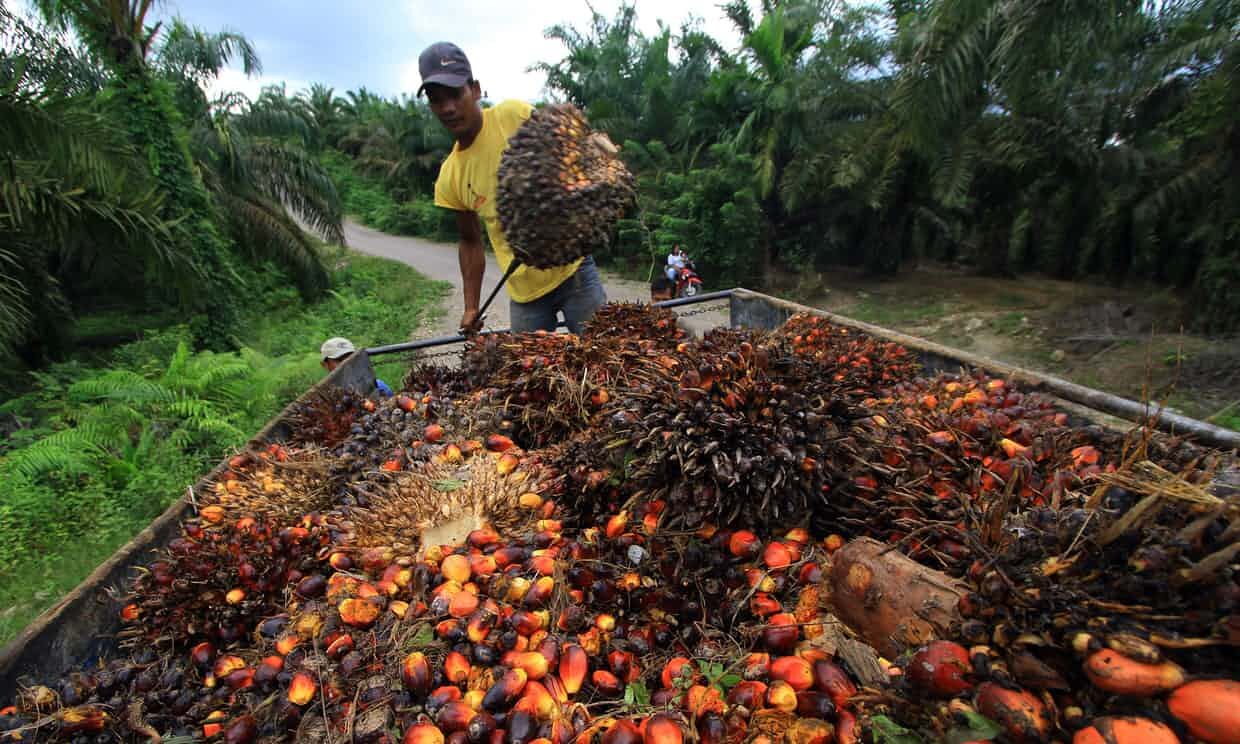 Le président philippin a ratifié un texte visant à promouvoir l’agriculture biologique (Image : Twitter)