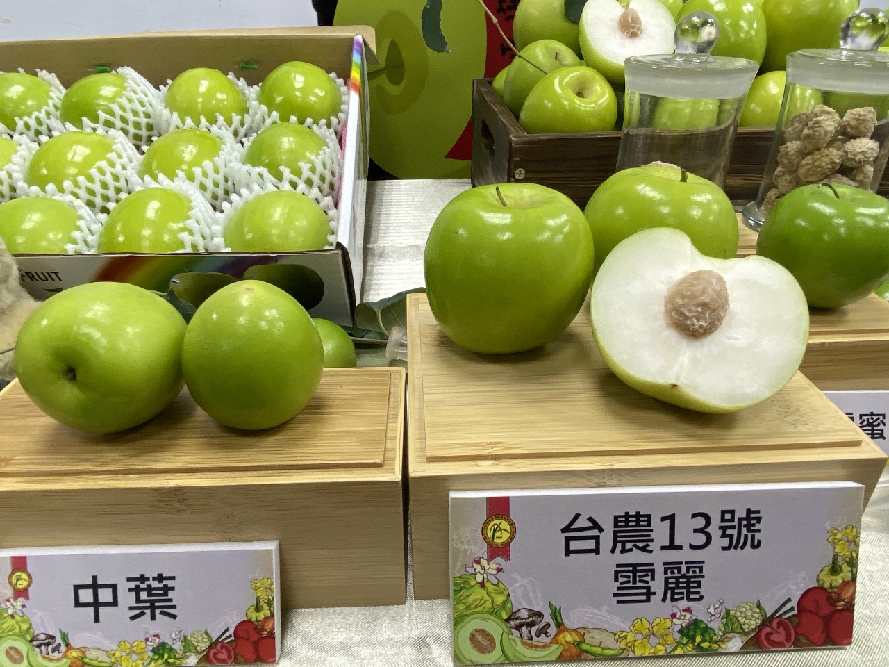 A la recherche des meilleurs jujubes