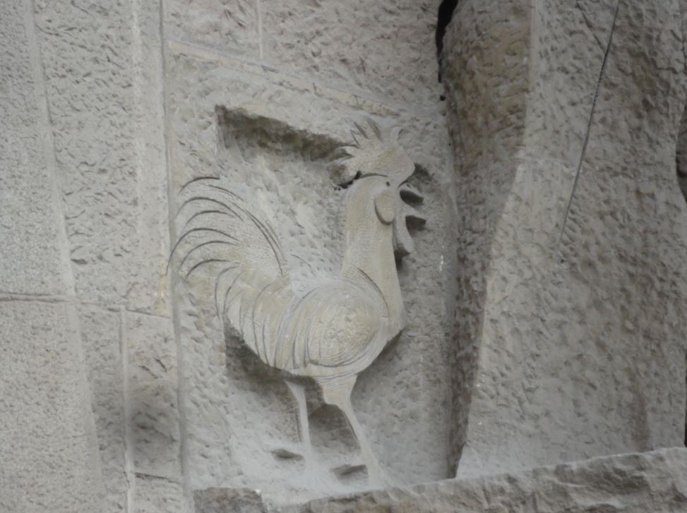 Histoire du vieux coq reconnaissant