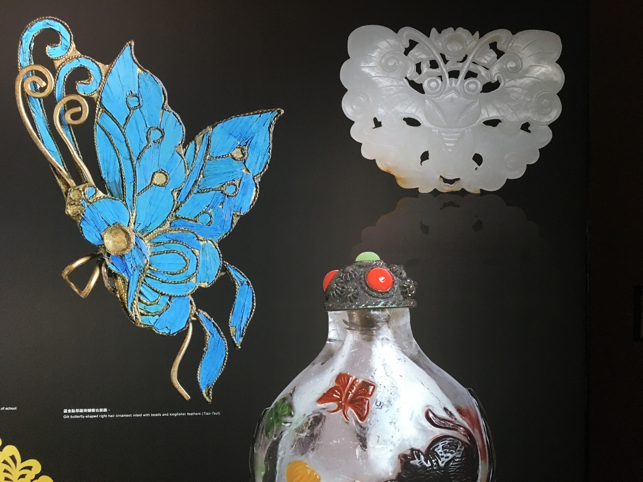 Exposition consacrée aux papillons au Musée national de Taiwan (Image : RTI - avec l'aimable autorisation du Musée national de Taiwan)
