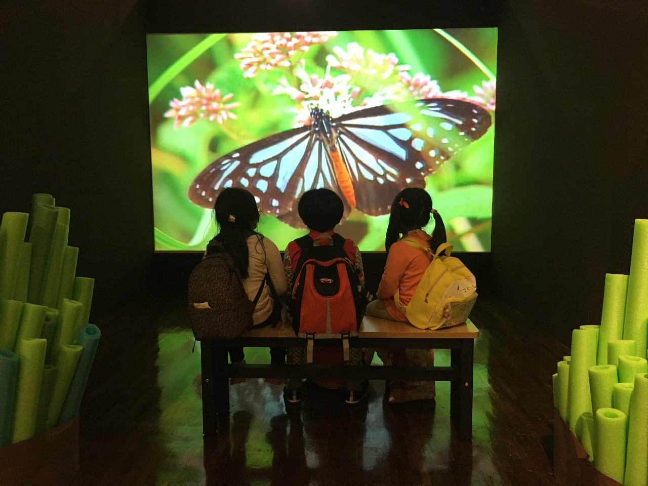 Exposition consacrée aux papillons au Musée national de Taiwan (Image : RTI/Lisa Duffaud)