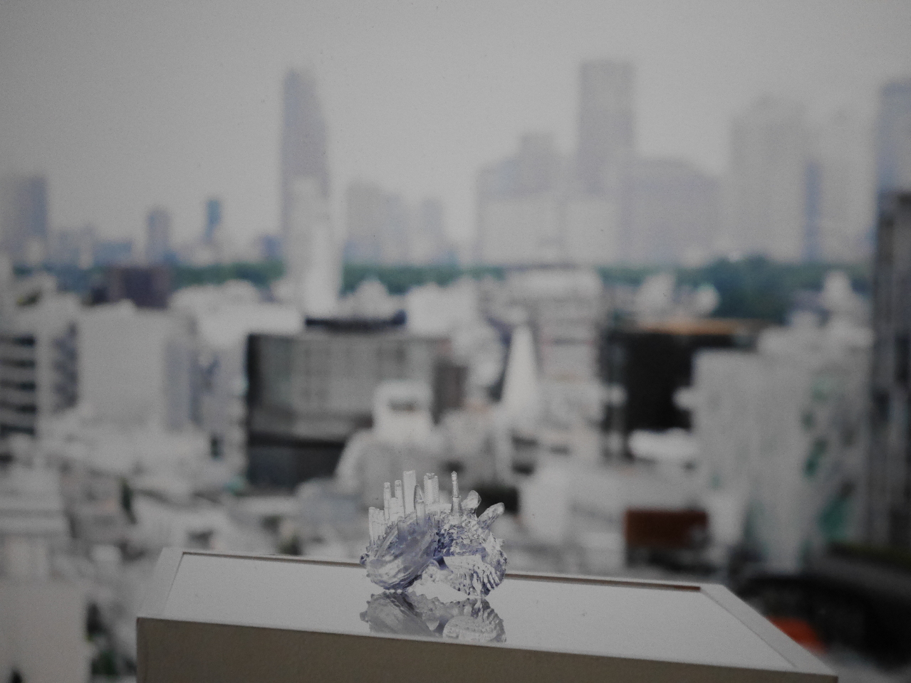 Broken Landscapes: Have Our Cities Failed ? Les villes comme indicateur des disparités sociales