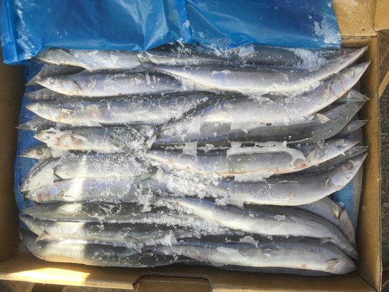 Visioconférence internationale sur la gestion des ressources de sanma