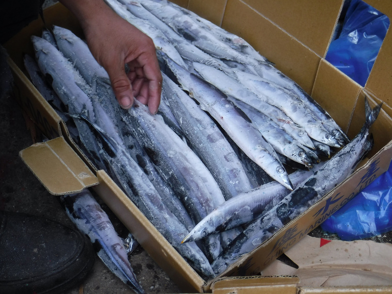 Entente internationale sur une réduction de 40% de la pêche au sanma