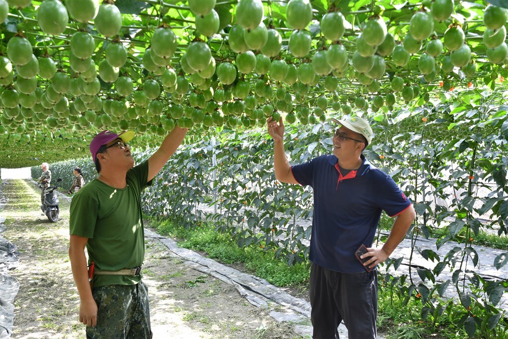 Une nouvelle technologie d'éclairage pour avoir des fruits de la passion toute l’année