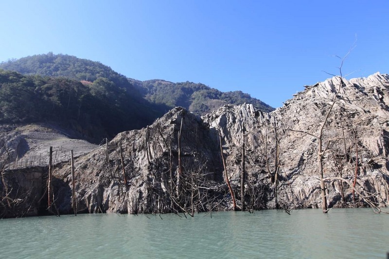 Les arbres morts du réservoir Techi (Taichung) habituellement recouverts d’eau sont désormais bien visibles (Image : CNA)