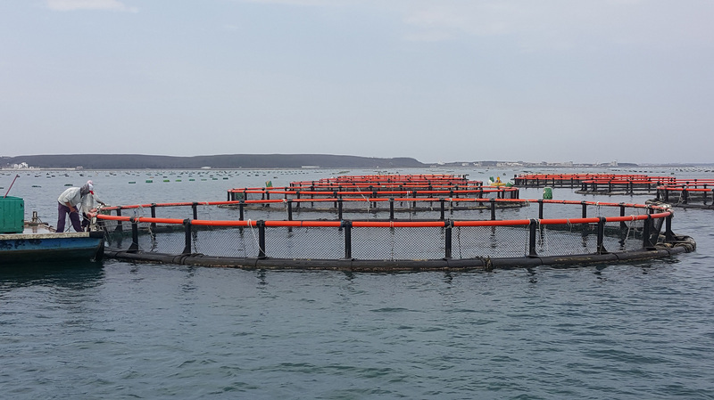 Aquaculture aux îles des Pescadores