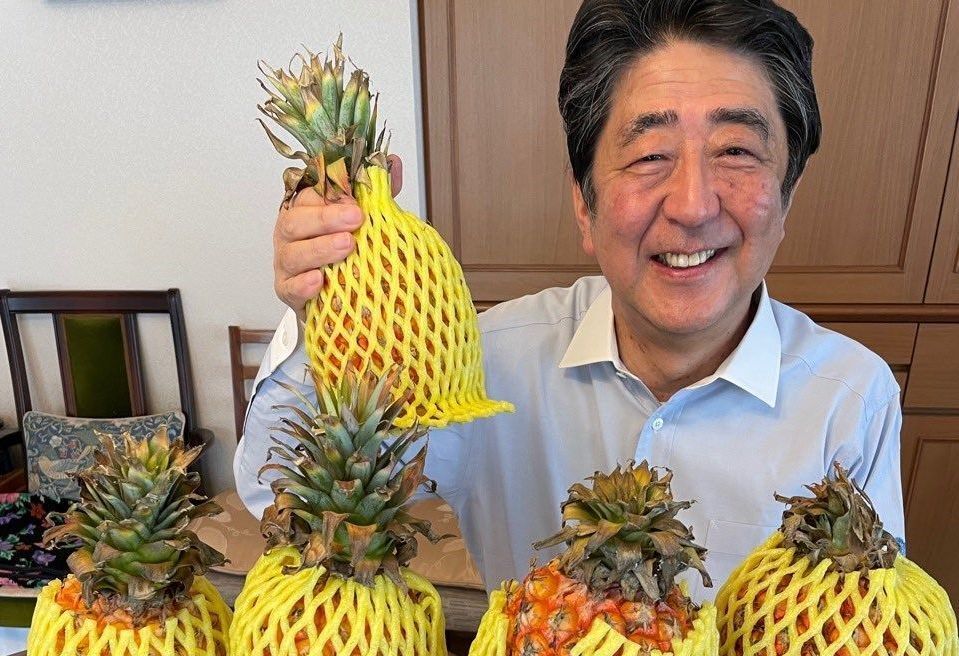 Amitié de Shinzo Abe pour Taïwan