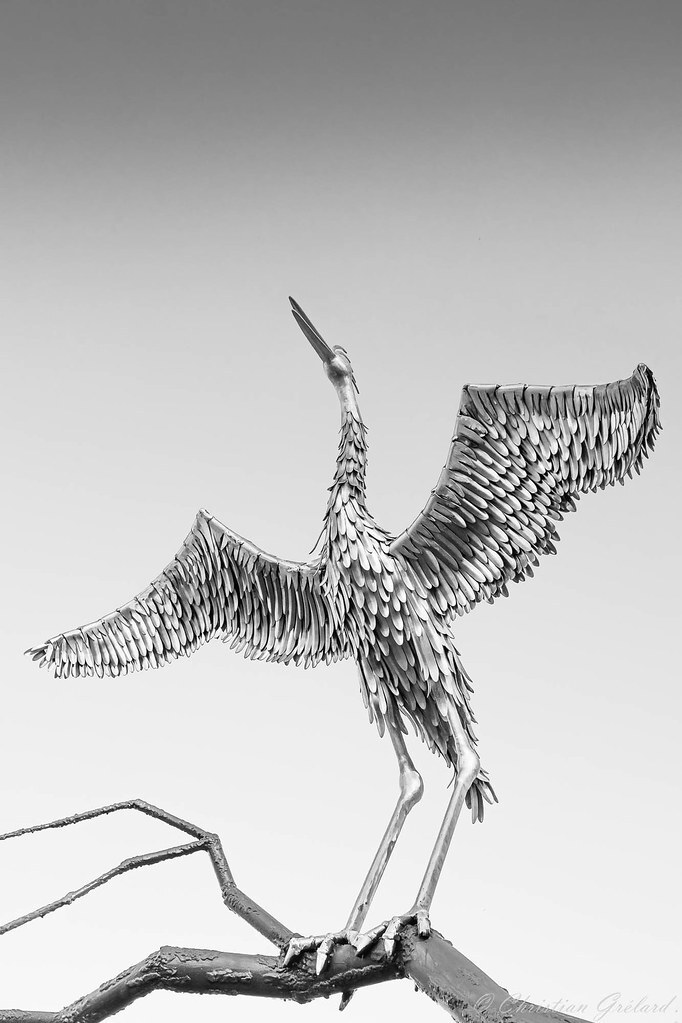 La majesté du phénix