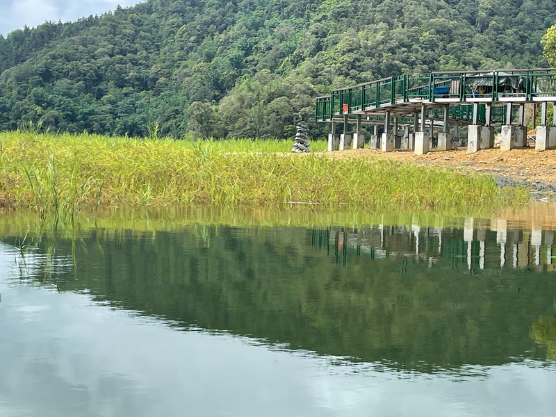 Le bon côté des mauvaises herbes