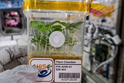 Les graines taïwanaises de retour de l’espace bientôt plantées à Taïwan