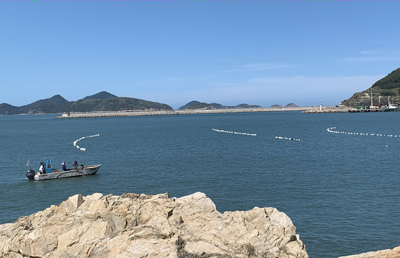 Début des contrôles de la pêche aux filets maillants