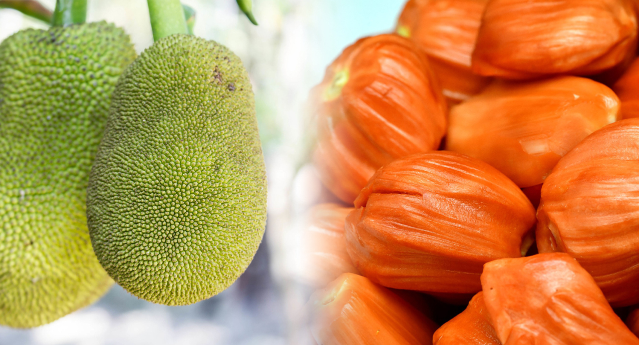 Bilan olympique et dégustation de fruit du pasquier au courrier