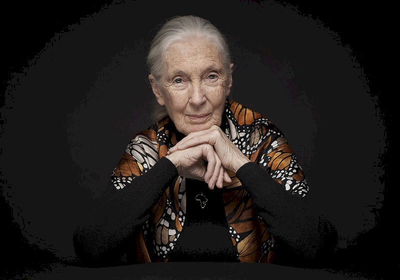Académie Jane Goodall vers une étude en lien avec la nature