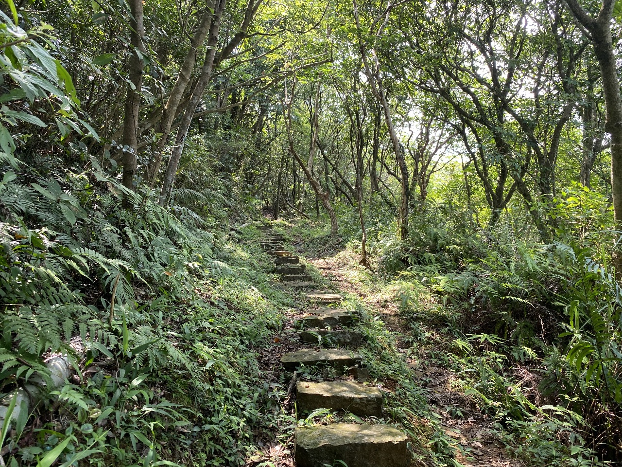 En chemin