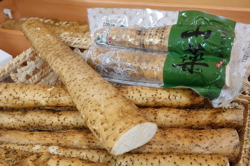 La culture de la grande bardane à Taïwan